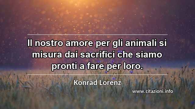 “Il nostro amore per gli animali si misura dai sacrifici che siamo pronti a fare per loro.”