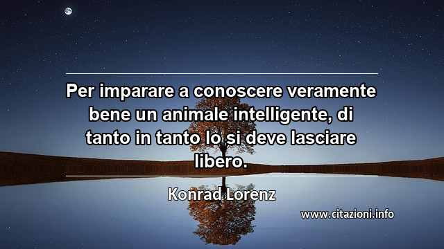 “Per imparare a conoscere veramente bene un animale intelligente, di tanto in tanto lo si deve lasciare libero.”