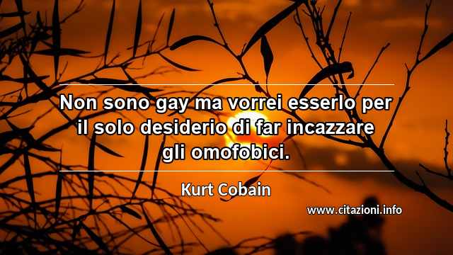“Non sono gay ma vorrei esserlo per il solo desiderio di far incazzare gli omofobici.”
