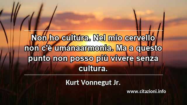 “Non ho cultura. Nel mio cervello non c'è umanaarmonia. Ma a questo punto non posso più vivere senza cultura.”