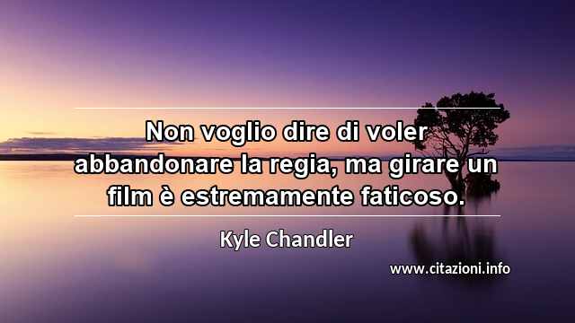 “Non voglio dire di voler abbandonare la regia, ma girare un film è estremamente faticoso.”