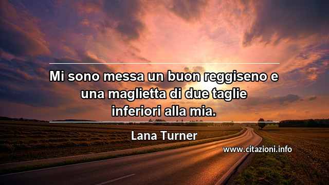 “Mi sono messa un buon reggiseno e una maglietta di due taglie inferiori alla mia.”