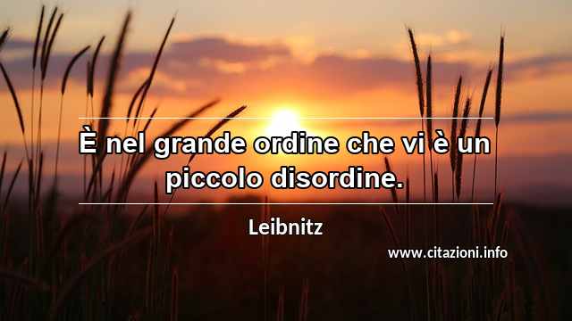 “È nel grande ordine che vi è un piccolo disordine.”