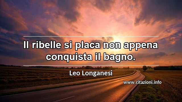 “Il ribelle si placa non appena conquista il bagno.”
