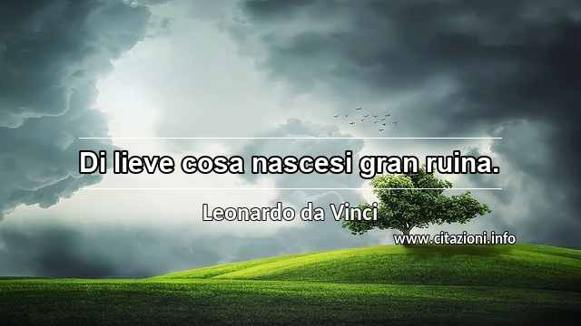 “Di lieve cosa nascesi gran ruina.”