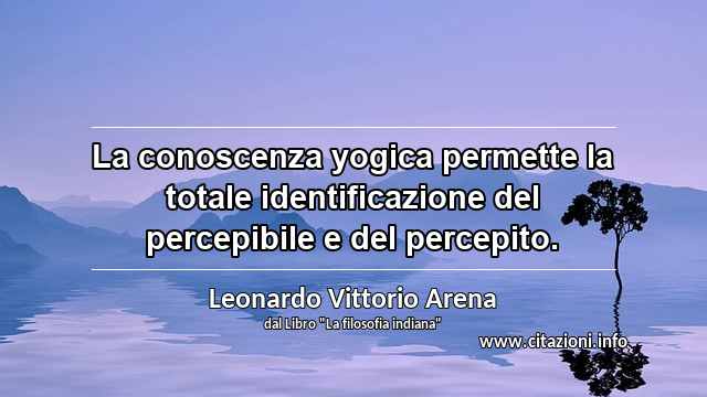 “La conoscenza yogica permette la totale identificazione del percepibile e del percepito.”