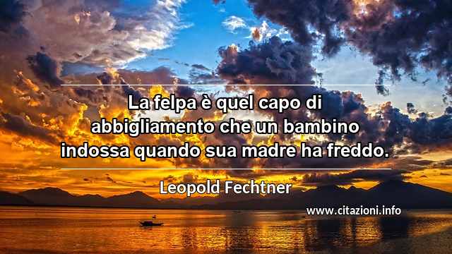 “La felpa è quel capo di abbigliamento che un bambino indossa quando sua madre ha freddo.”