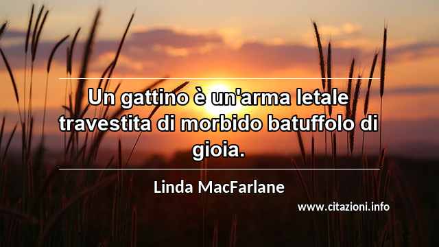 “Un gattino è un'arma letale travestita di morbido batuffolo di gioia.”