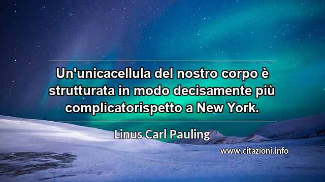 “Un'unicacellula del nostro corpo è strutturata in modo decisamente più complicatorispetto a New York.”