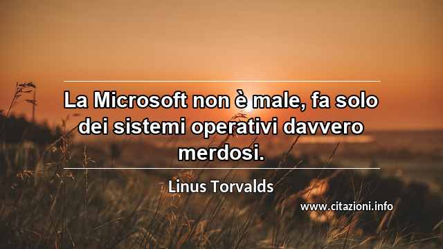 “La Microsoft non è male, fa solo dei sistemi operativi davvero merdosi.”