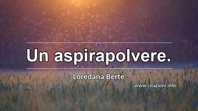 “Un aspirapolvere.”