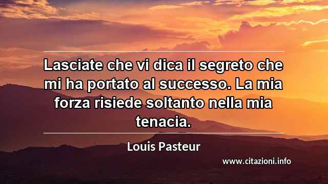 “Lasciate che vi dica il segreto che mi ha portato al successo. La mia forza risiede soltanto nella mia tenacia.”