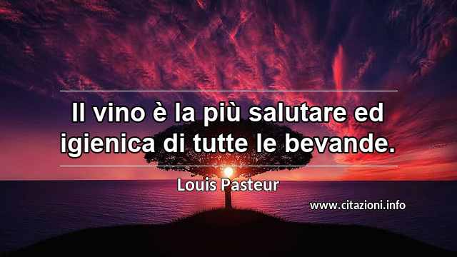 “Il vino è la più salutare ed igienica di tutte le bevande.”
