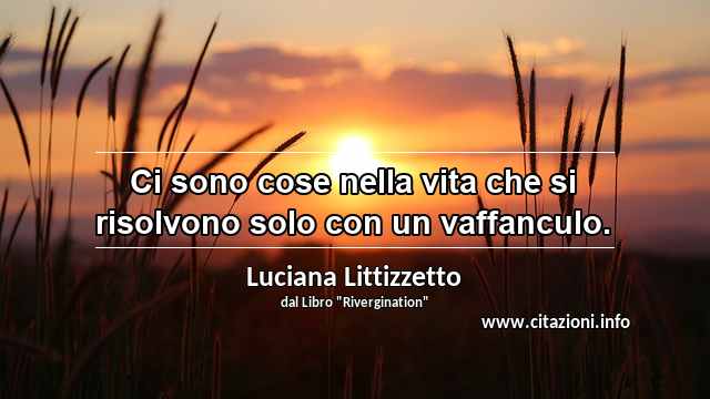 “Ci sono cose nella vita che si risolvono solo con un vaffanculo.”