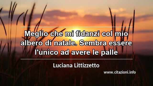 “Meglio che mi fidanzi col mio albero di natale. Sembra essere l'unico ad avere le palle ”