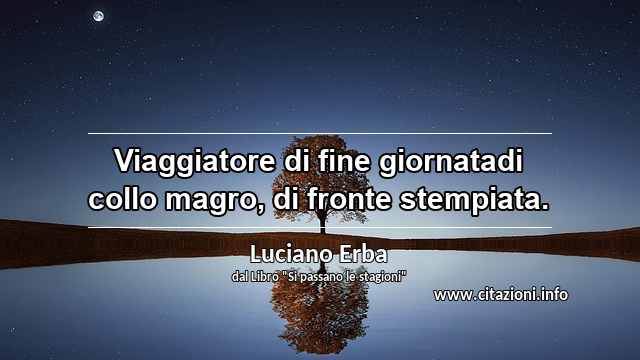 “Viaggiatore di fine giornatadi collo magro, di fronte stempiata.”