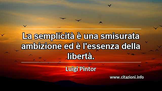 “La semplicità è una smisurata ambizione ed è l'essenza della libertà.”