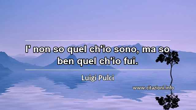 “I' non so quel ch'io sono, ma so ben quel ch'io fui.”