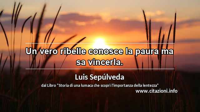 “Un vero ribelle conosce la paura ma sa vincerla.”