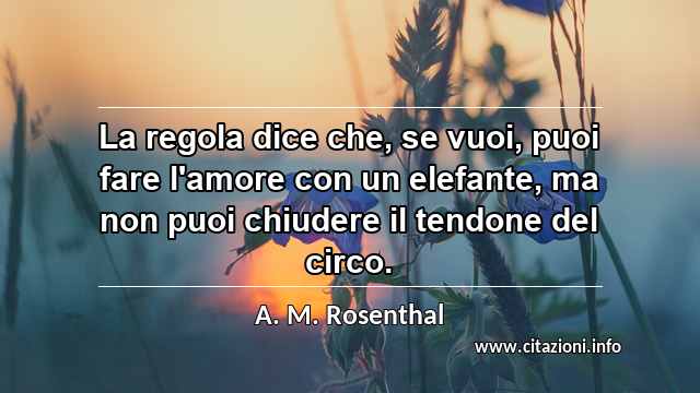 “La regola dice che, se vuoi, puoi fare l'amore con un elefante, ma non puoi chiudere il tendone del circo.”