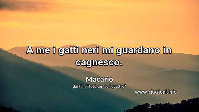 “A me i gatti neri mi guardano in cagnesco.”
