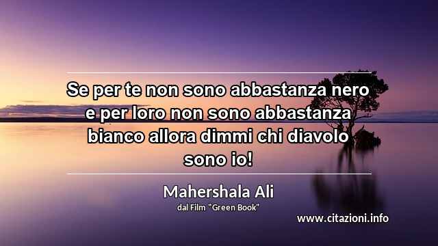 “Se per te non sono abbastanza nero e per loro non sono abbastanza bianco allora dimmi chi diavolo sono io!”