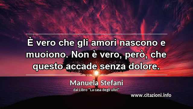 “È vero che gli amori nascono e muoiono. Non è vero, però, che questo accade senza dolore.”