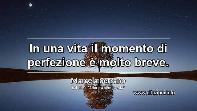“In una vita il momento di perfezione è molto breve.”