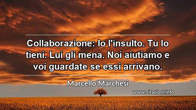 “Collaborazione: Io l'insulto. Tu lo tieni. Lui gli mena. Noi aiutiamo e voi guardate se essi arrivano.”