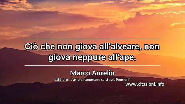 “Ciò che non giova all'alveare, non giova neppure all'ape.”