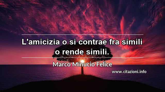 “L'amicizia o si contrae fra simili o rende simili.”