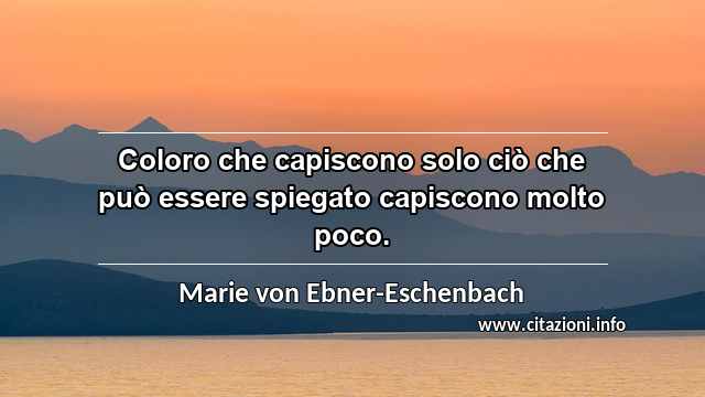 “Coloro che capiscono solo ciò che può essere spiegato capiscono molto poco.”