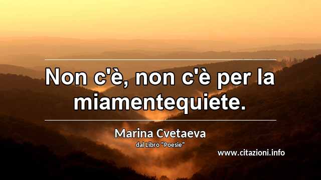 “Non c'è, non c'è per la miamentequiete.”