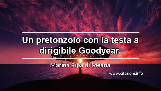 “Un pretonzolo con la testa a dirigibile Goodyear.”