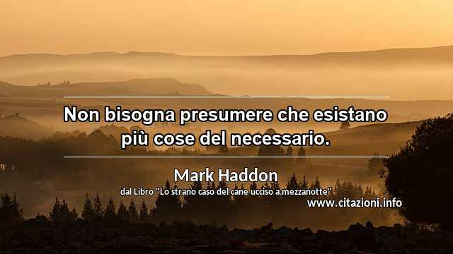 “Non bisogna presumere che esistano più cose del necessario.”