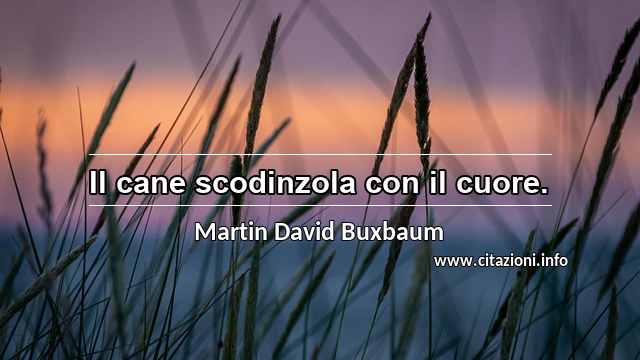 “Il cane scodinzola con il cuore.”