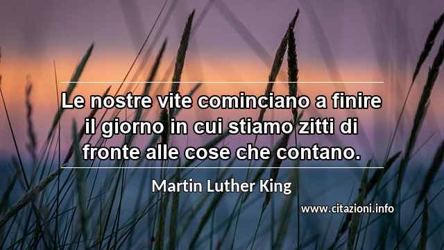 “Le nostre vite cominciano a finire il giorno in cui stiamo zitti di fronte alle cose che contano.”