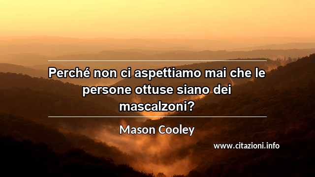 “Perché non ci aspettiamo mai che le persone ottuse siano dei mascalzoni?”