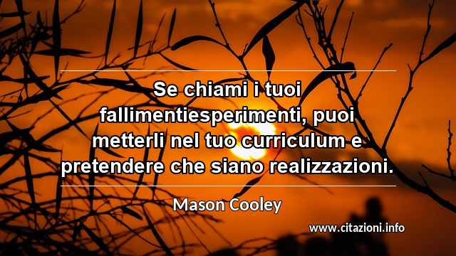 “Se chiami i tuoi fallimentiesperimenti, puoi metterli nel tuo curriculum e pretendere che siano realizzazioni.”