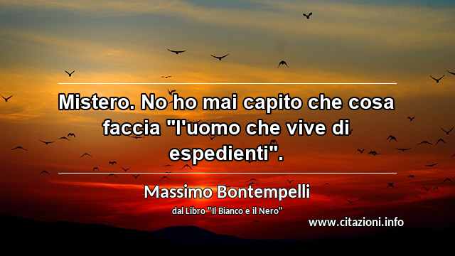 Mistero. No ho mai capito che cosa faccia "l'uomo che vive di espedienti".