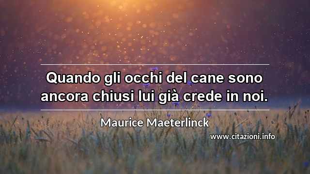 “Quando gli occhi del cane sono ancora chiusi lui già crede in noi.”