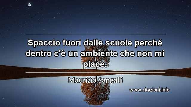 “Spaccio fuori dalle scuole perché dentro c'è un ambiente che non mi piace.”