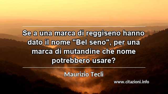 Se a una marca di reggiseno hanno dato il nome "Bel seno", per una marca di mutandine che nome potrebbero usare?