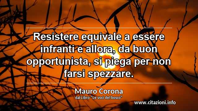 “Resistere equivale a essere infranti e allora, da buon opportunista, si piega per non farsi spezzare.”