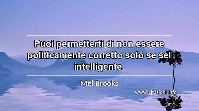 “Puoi permetterti di non essere politicamente corretto solo se sei intelligente.”