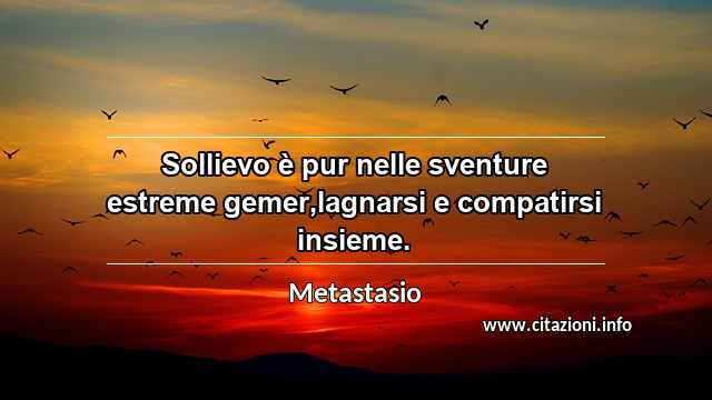 “Sollievo è pur nelle sventure estreme gemer,lagnarsi e compatirsi insieme.”