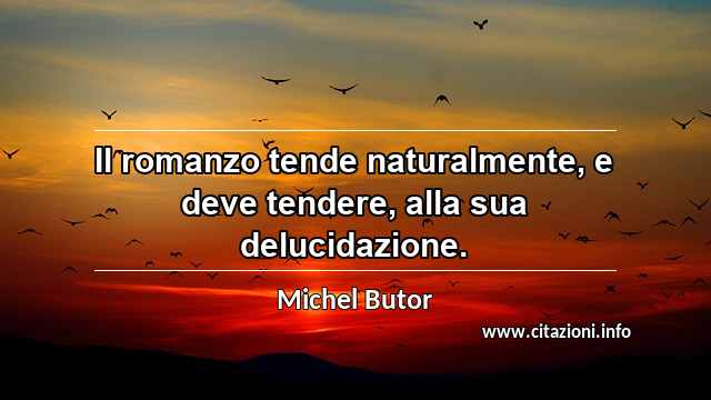 “Il romanzo tende naturalmente, e deve tendere, alla sua delucidazione.”