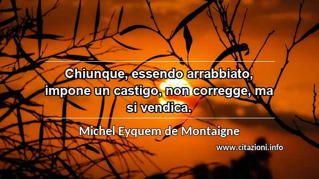 “Chiunque, essendo arrabbiato, impone un castigo, non corregge, ma si vendica.”