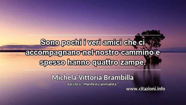 “Sono pochi i veri amici che ci accompagnano nel nostro cammino e spesso hanno quattro zampe.”