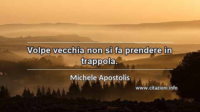 “Volpe vecchia non si fa prendere in trappola.”